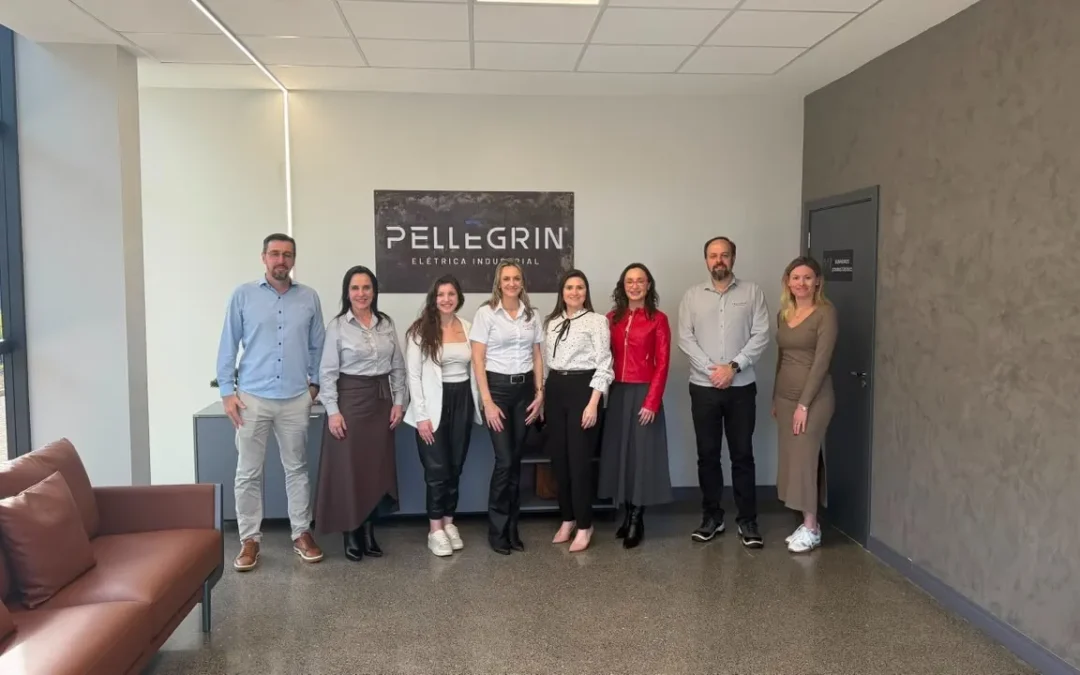 CDL Jovem visita a Pellegrin Elétrica Industrial